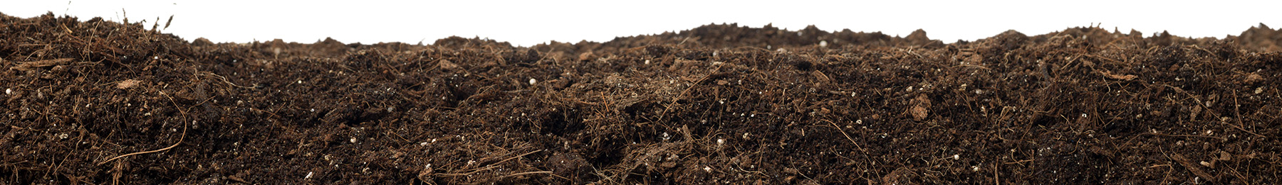 How To Grow Your Own Food Footer Dirt