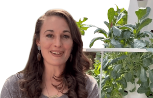 Get Updates How To Grow Your Own Food