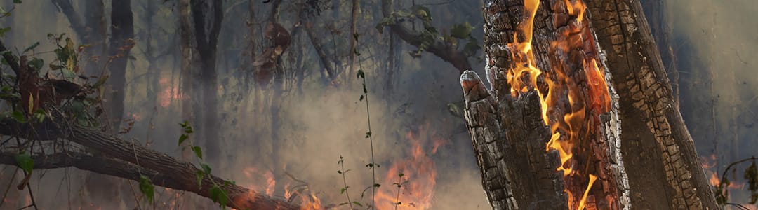 Header Truth About Maui Fire